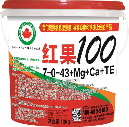 红果-100