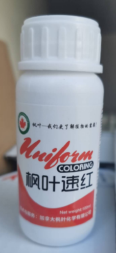 枫叶-速红